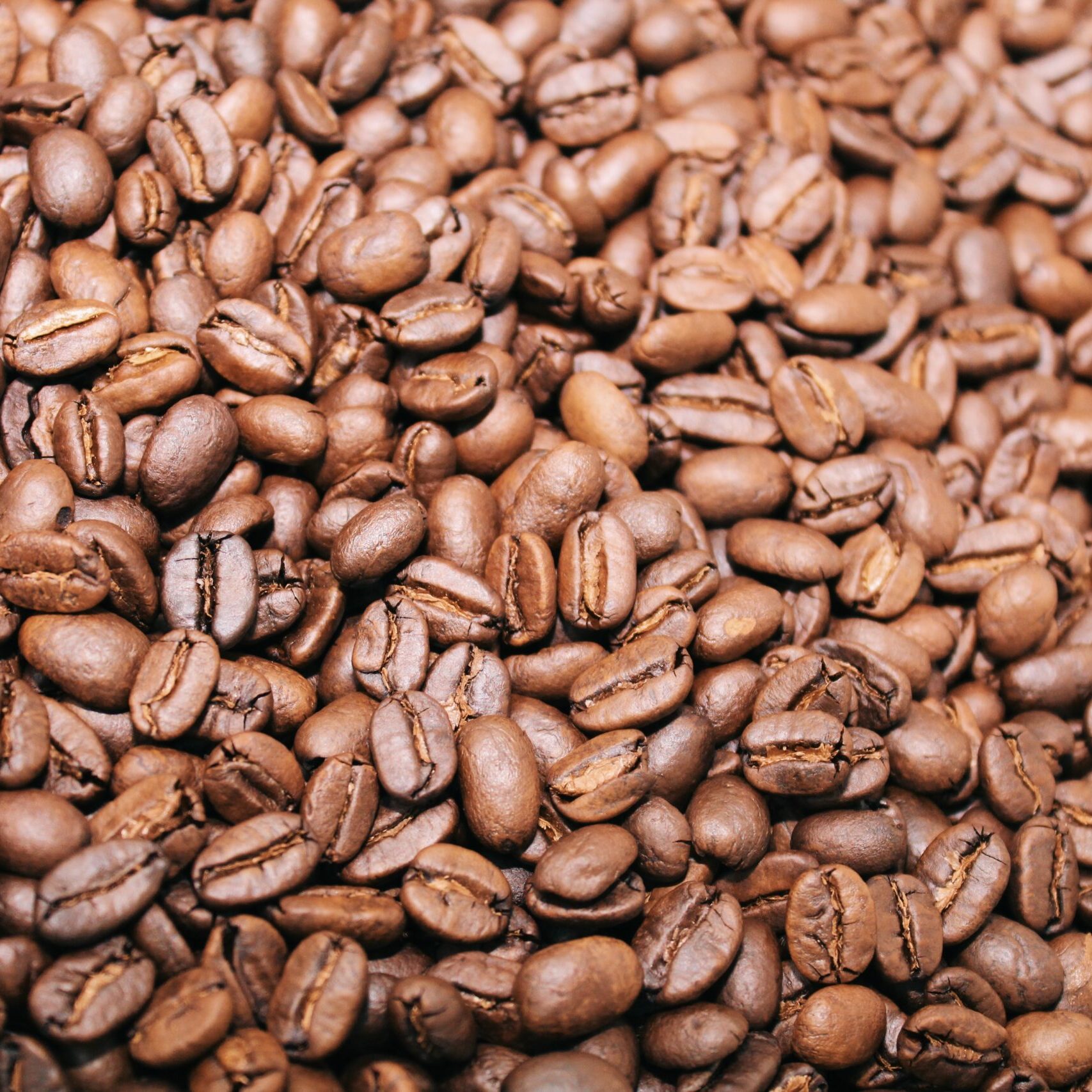 Front Page The Haven Coffee House & Roasting Co.